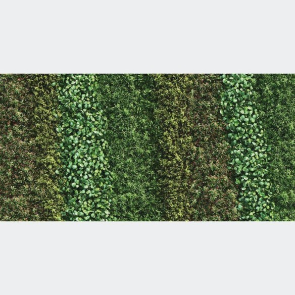 Painel Fotográfico Jardim Vertical Folhas Verdes N017142