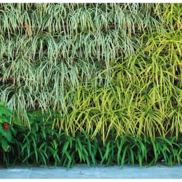Painel Fotográfico Jardim Vertical Folhas Verdes N017143