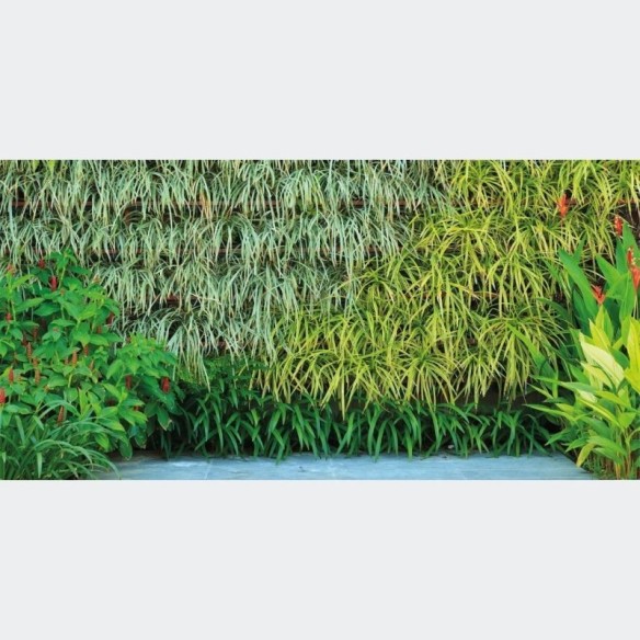 Painel Fotográfico Jardim Vertical Folhas Verdes N017143