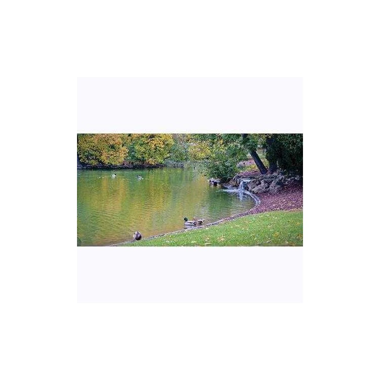 Painel Fotográfico Jardim Zen