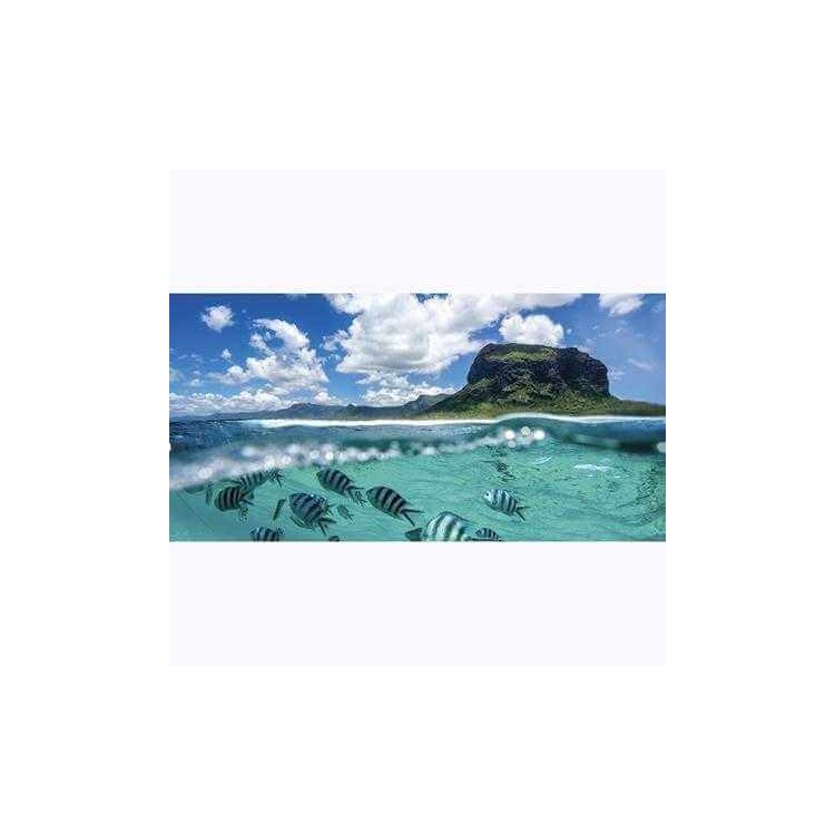 Painel Fotográfico Montanha e Oceano