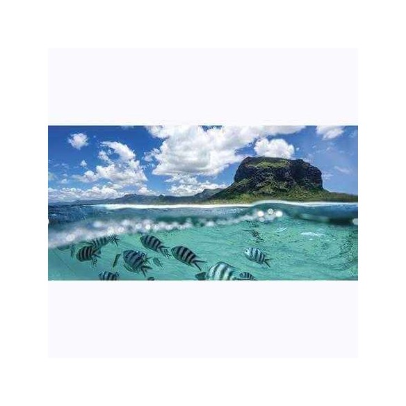 Painel Fotográfico Montanha e Oceano