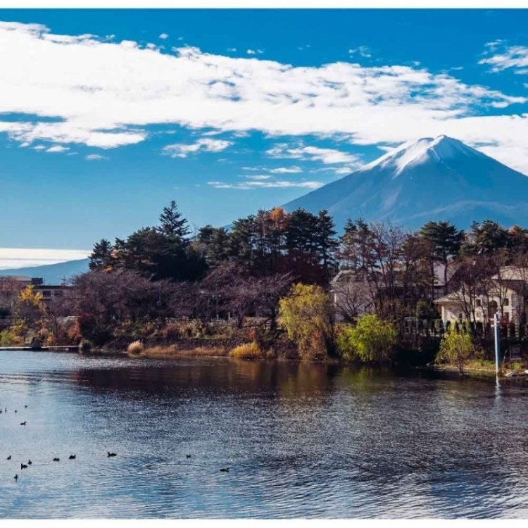 Painel Fotográfico Monte Fuji Japão N014287