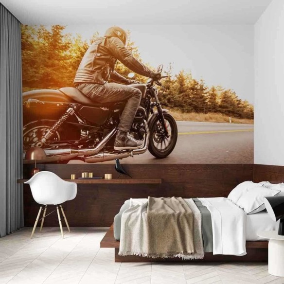 Painel Fotográfico Motociclista de Moto Custom na Estrada
