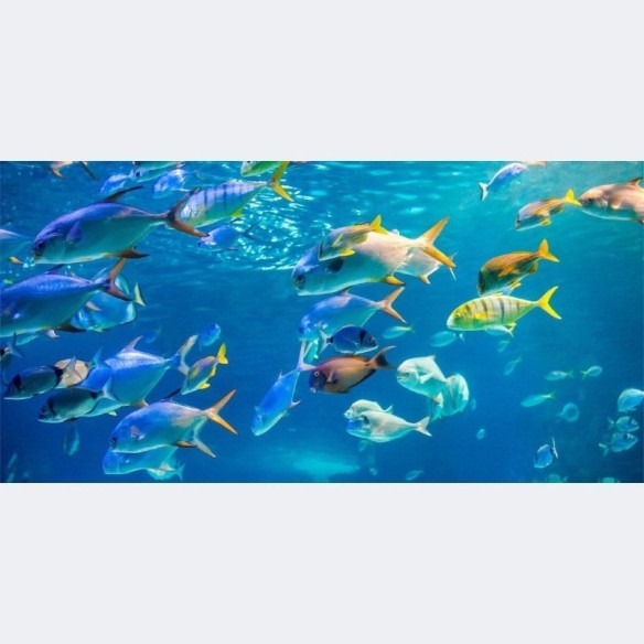 Painel Fotográfico Oceano N014300