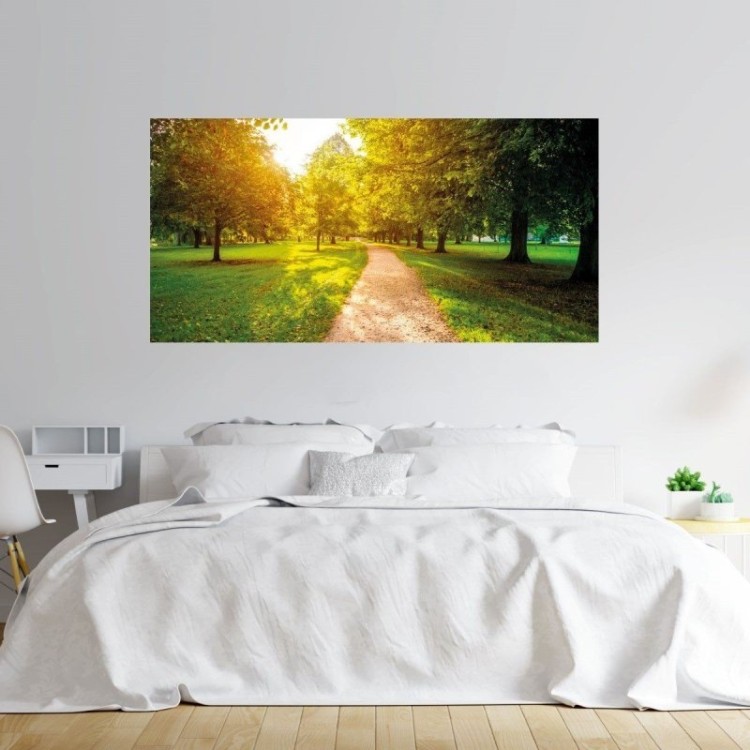 Painel Fotográfico Paisagem Arvores Parque N016127