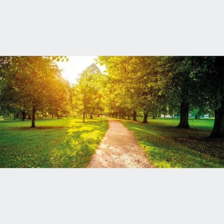 Painel Fotográfico Paisagem Arvores Parque N016127