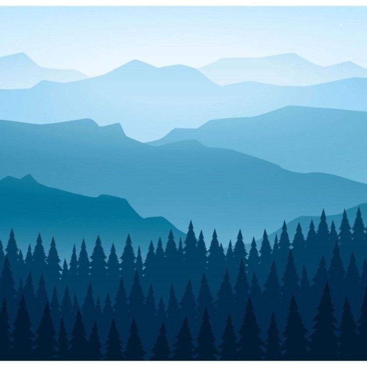 Painel Fotográfico Paisagem Floresta N015287