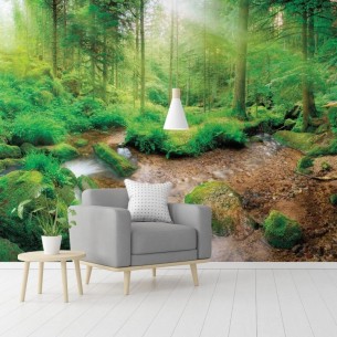 Painel Fotográfico Paisagem...