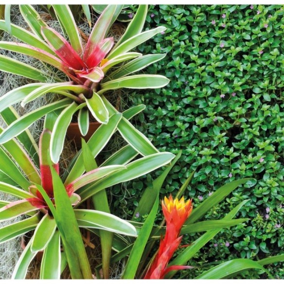Painel Fotográfico Paisagem Jardim N016108