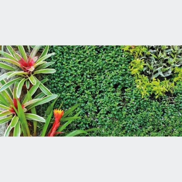Painel Fotográfico Paisagem Jardim N016108