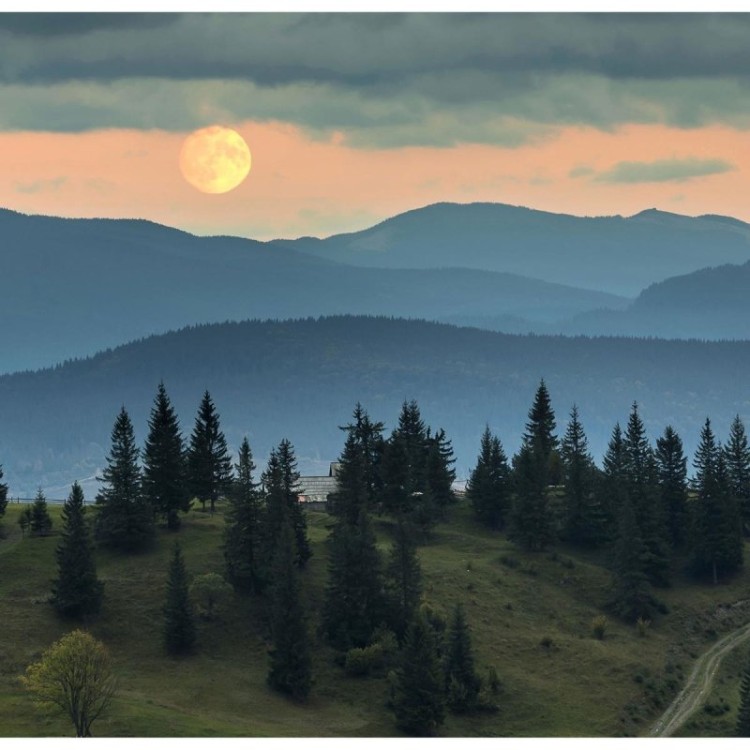Painel Fotográfico Paisagem Montanha E...