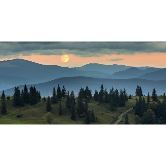 Painel Fotográfico Paisagem Montanha E Pinheiros N09294