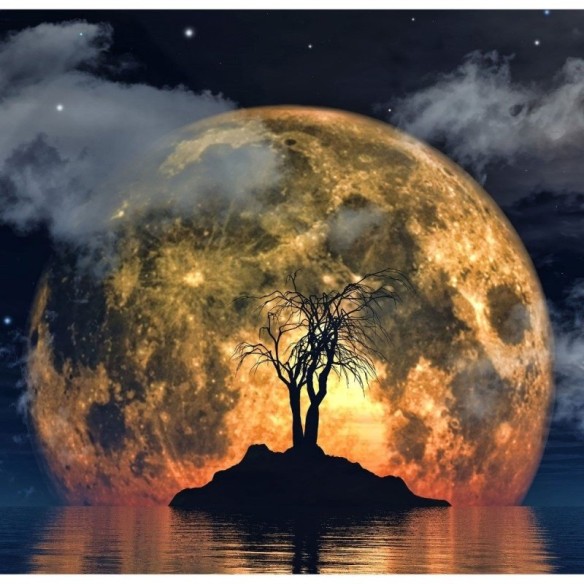 Painel Fotográfico Paisagem Noturna Lua N016145