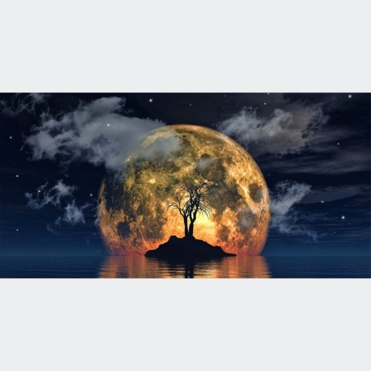 Painel Fotográfico Paisagem Noturna Lua N016145