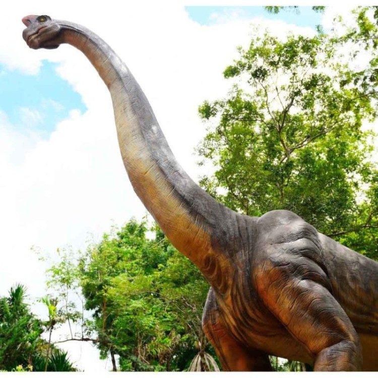 Painel Fotográfico Parque dos Dinossauros N014280