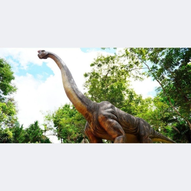 Painel Fotográfico Parque dos Dinossauros N014280