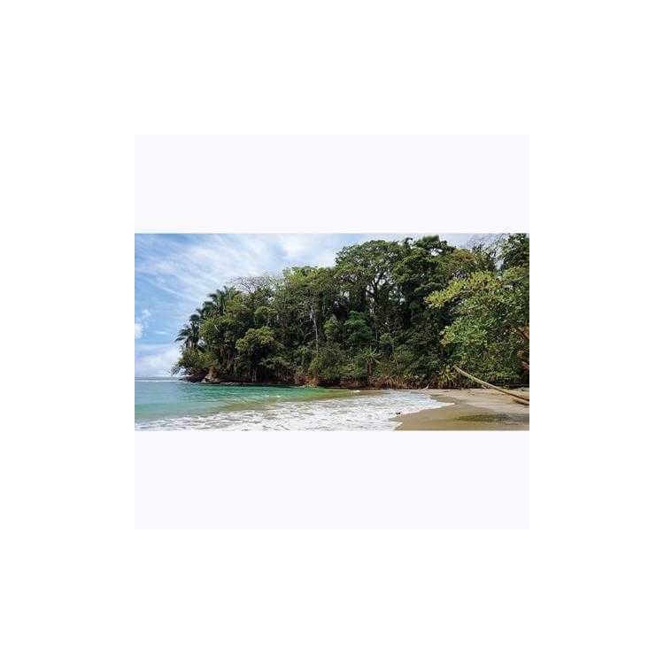 Painel Fotográfico Praia costa Rica