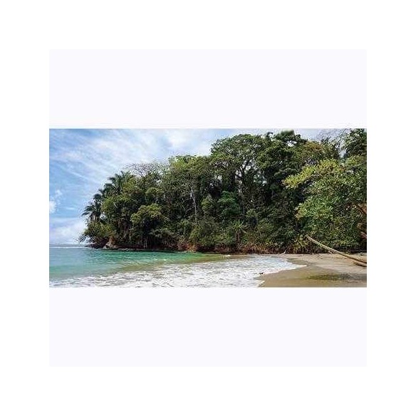 Painel Fotográfico Praia costa Rica