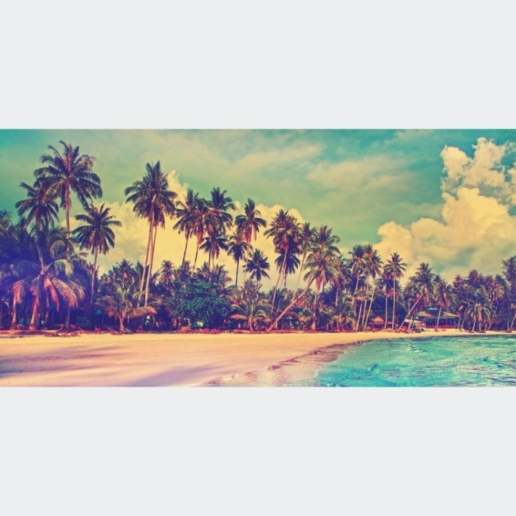 Painel Fotográfico Praia Tropical N012187