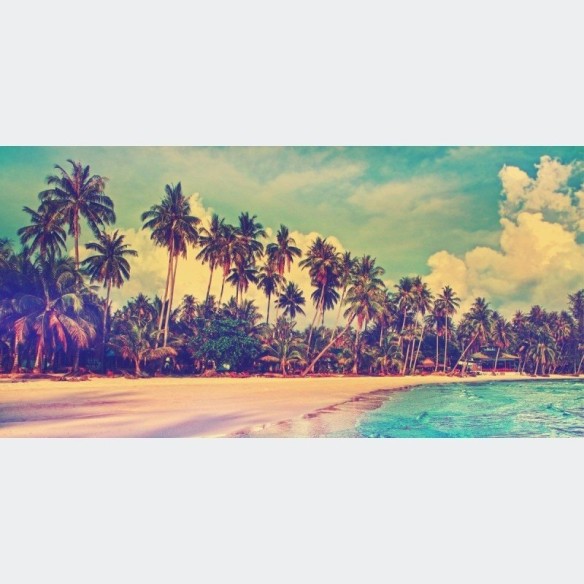 Painel Fotográfico Praia Tropical N012187