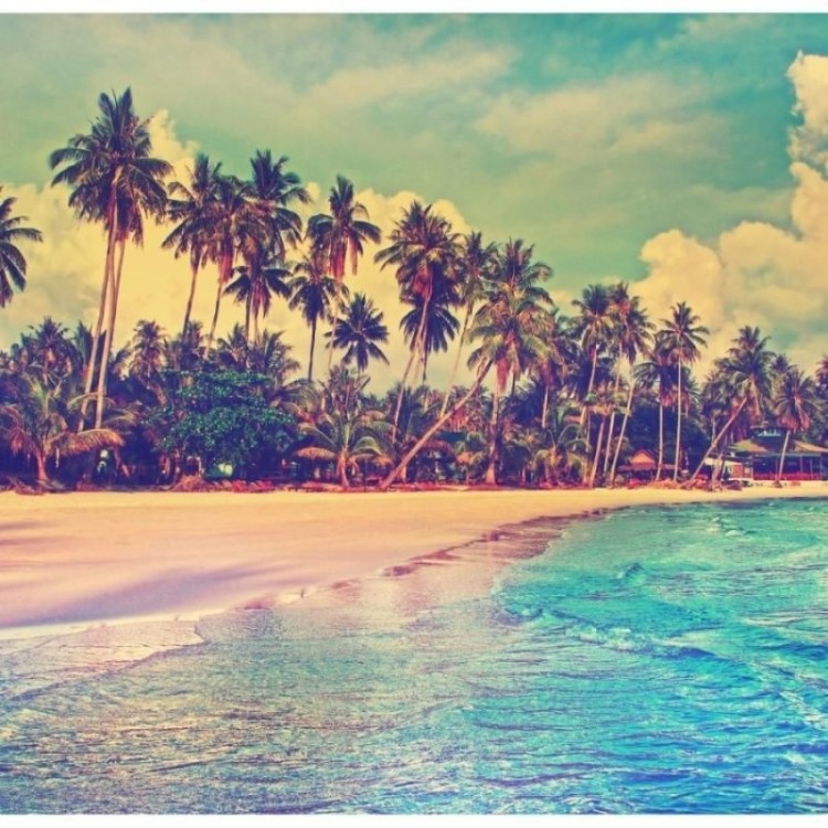 Painel Fotográfico Praia Tropical N012187