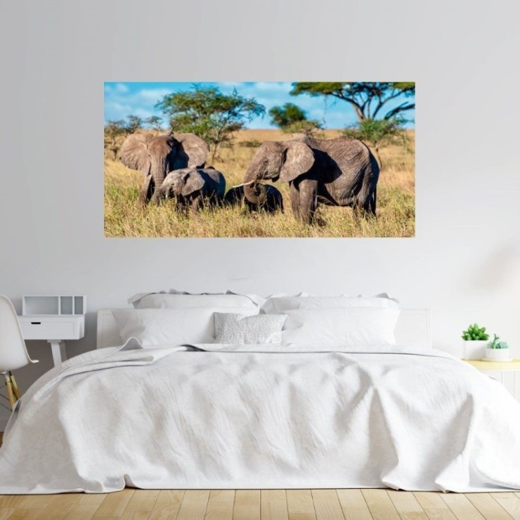 Painel Fotográfico Savana Elefantes N014290