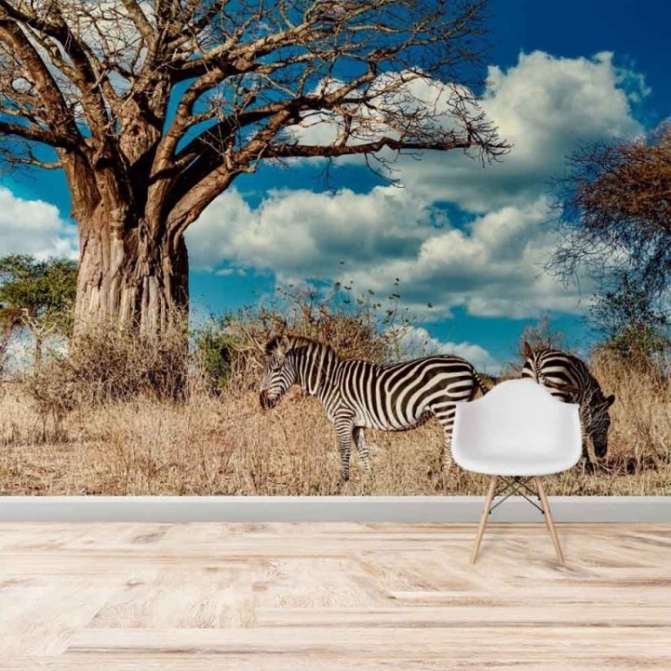 Painel Fotográfico Savana Zebras N014285