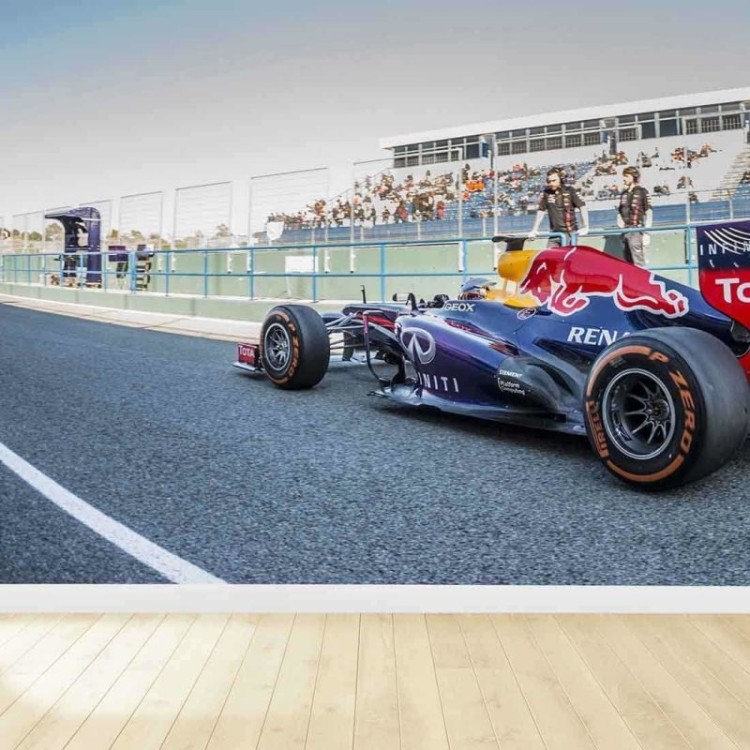 Painel Fotográfico Sebastian vettel Fórmula 1