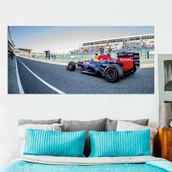 Painel Fotográfico Sebastian vettel Fórmula 1