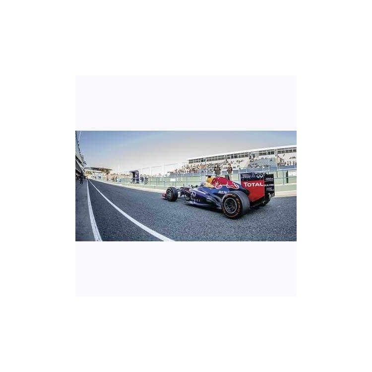 Painel Fotográfico Sebastian vettel Fórmula 1