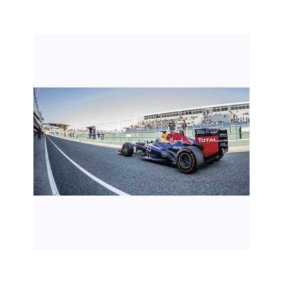 Painel Fotográfico Sebastian vettel Fórmula 1
