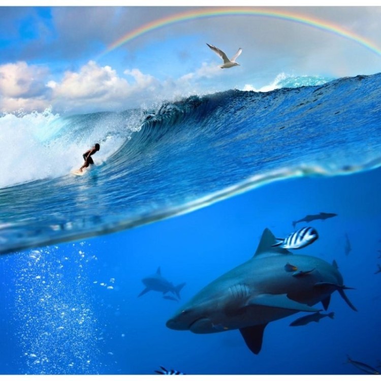 Painel Fotográfico Surfista e Arco-Íris N012173
