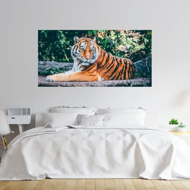 Painel fotográfico tigre – City Decor