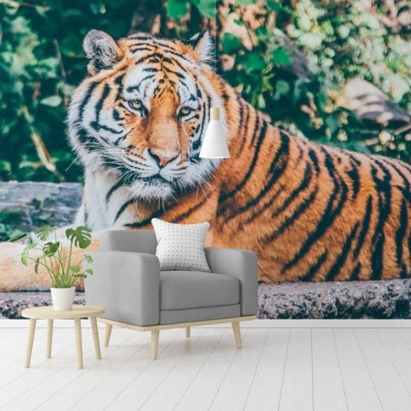 Painel Fotográfico Tigre N014318