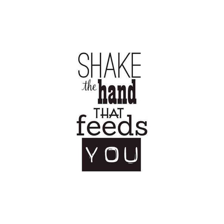 Adesivo Decorativo - SHAKE THE 59X99 Metros...