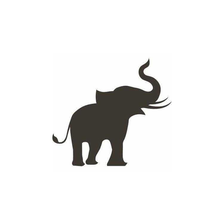 Adesivo Decorativo Elefante Medidas 0,64x0,59...