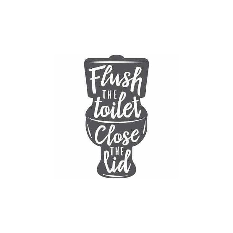 Adesivo Decorativo Flush The Toilet Medidas...