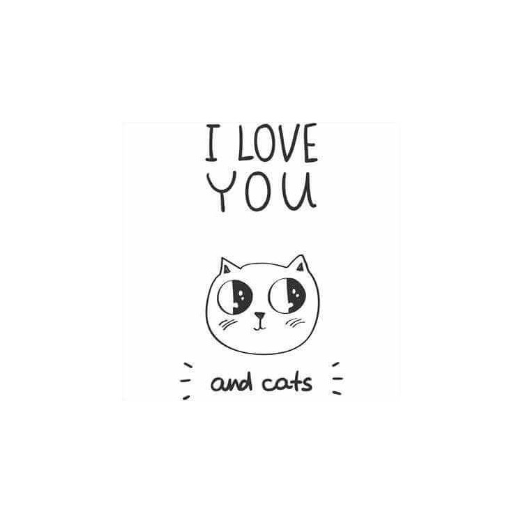 Adesivo Decorativo I Love You And Cats Medidas...
