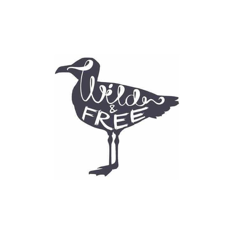 Adesivo Decorativo Wild E Free Medida 0,61x0,59...