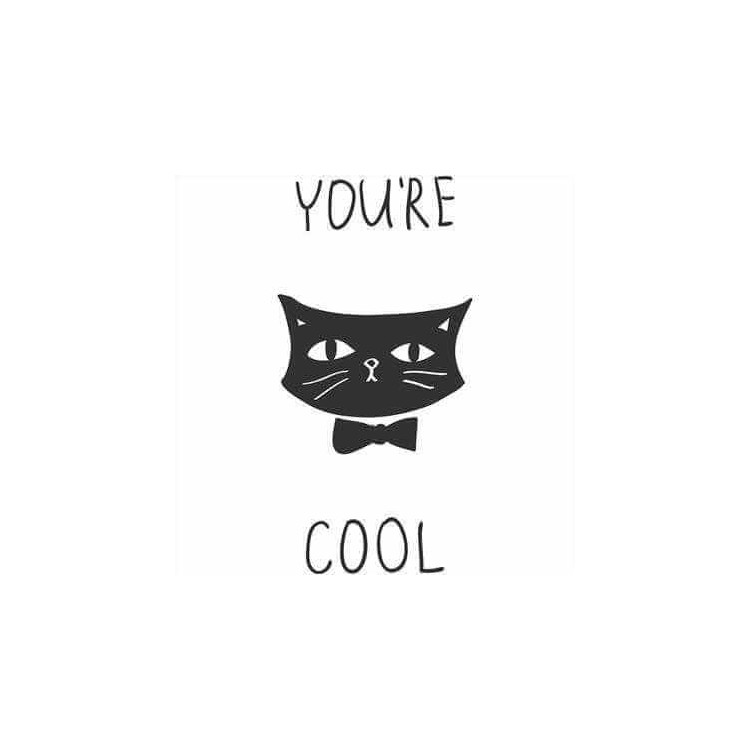 Adesivo Decorativo You're Cool Gato Preto...