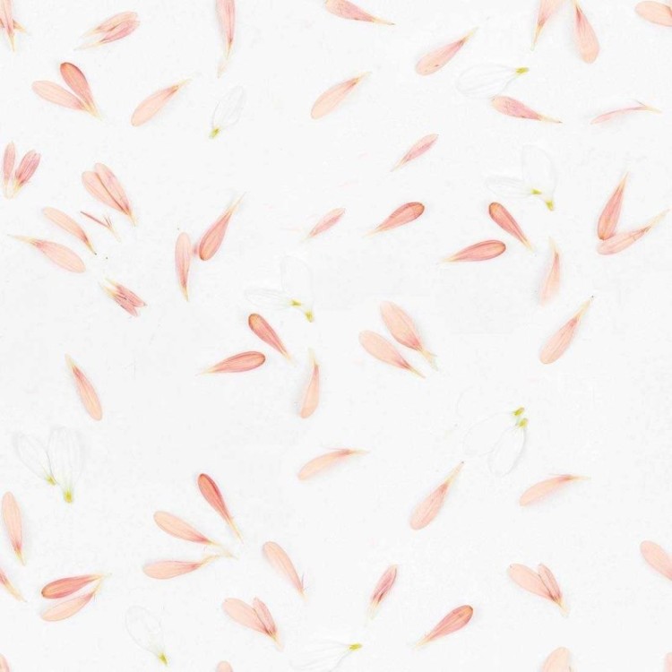 Papel de Parede Adesivo Artístico N02217
