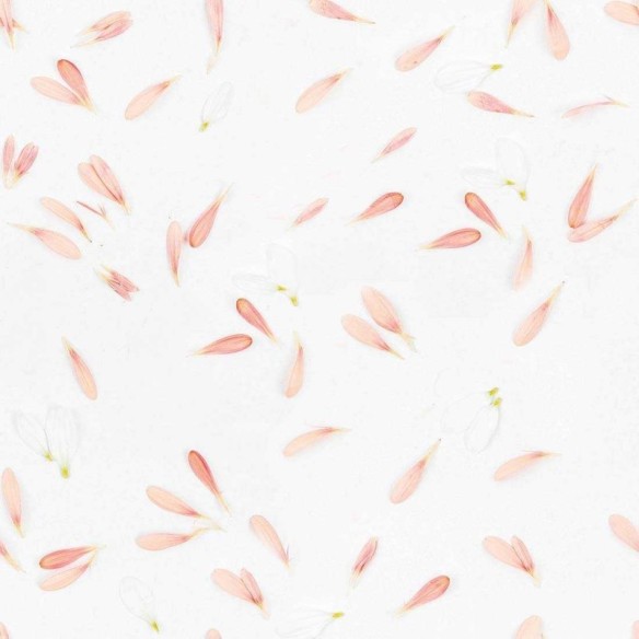 Papel de Parede Adesivo Artístico N02217