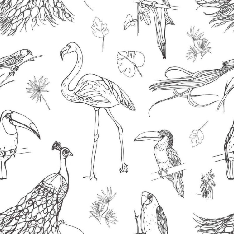 Papel de Parede Adesivo Aves Tropicais em Preto...