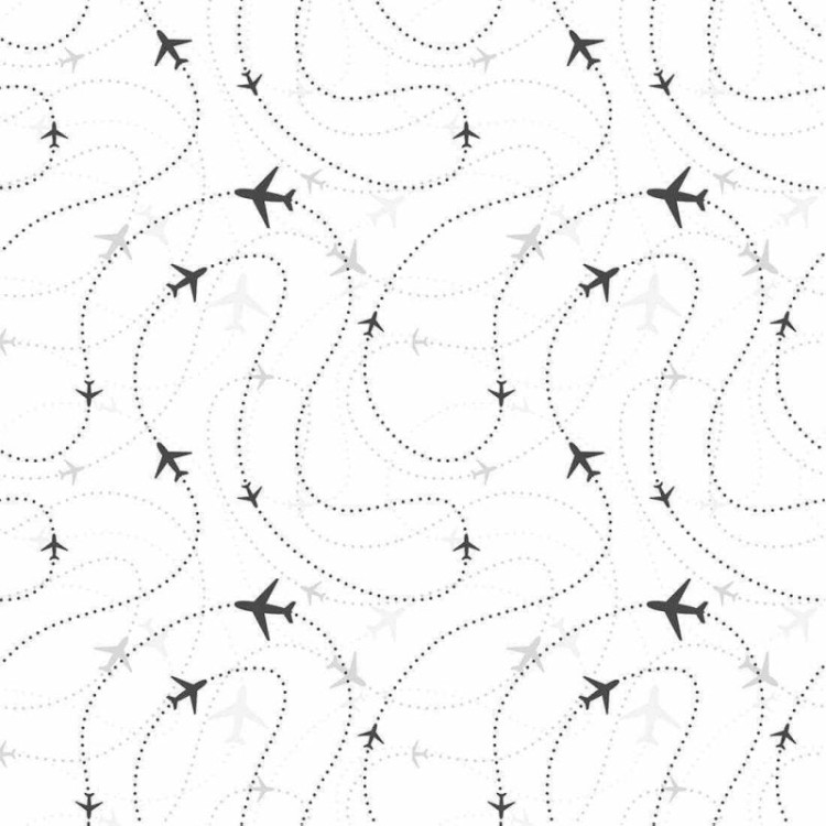 Papel de Parede Adesivo Avião N248